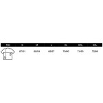 Sols Spider Ash Unisex-Sweatshirt