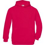 Kapuzenpullover für Kinder. Kindersorbet mit Kapuze