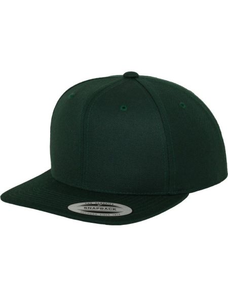 Kappe 6 Panel Snapback Flexfit 6089M Fichte