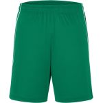 Kraťasy sportovní týmové Basic Daiber JN387 green/white