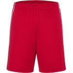 Kraťasy sportovní týmové Basic Daiber JN387 red/white