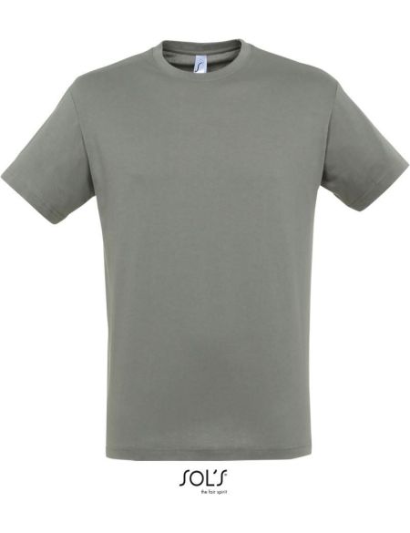 Herren-T-Shirt Sols Regent Zink